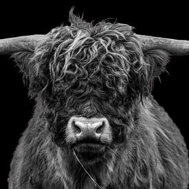 Portrait d'un Highlander écossais en noir et blanc sur Ans Bastiaanssen