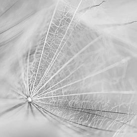Geweven in zwartwit van Elke van Putten