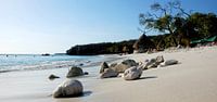 Strand op Curacao