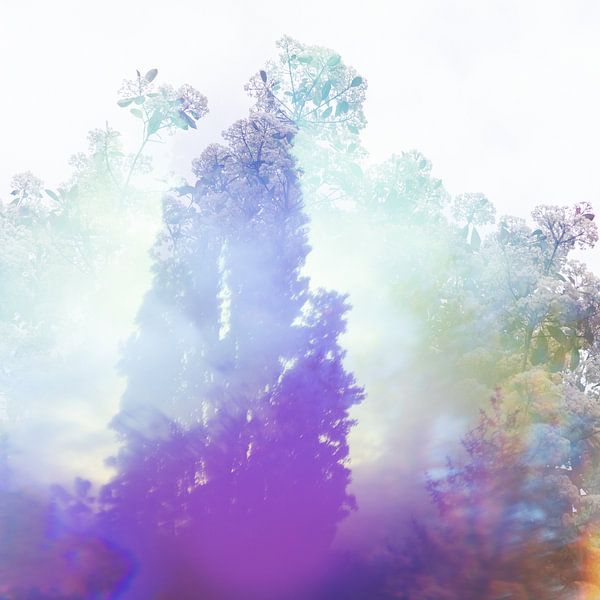 Painting with light and colors by Juul Vullings