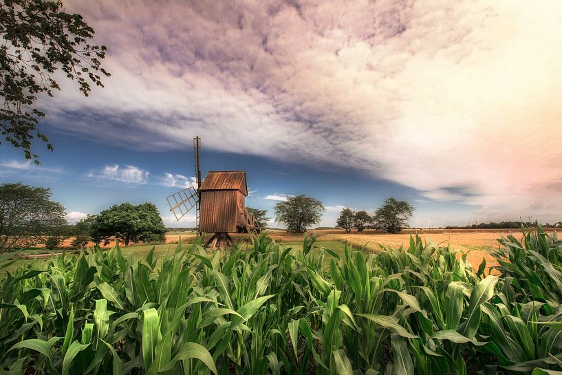 Little Swedish windmill by Marc Hollenberg