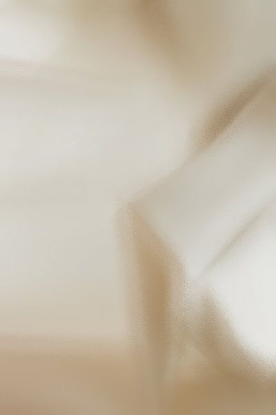 Coton doux par Evelien van Rijn