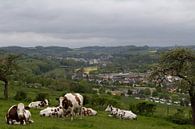 Uitzicht over Luxemburgs landschap von Rijk van de Kaa Miniaturansicht