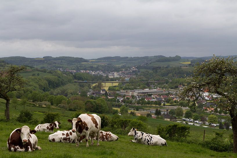 Uitzicht over Luxemburgs landschap von Rijk van de Kaa