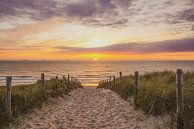 Strand, zee en zon aan de Hollandse kust van Dirk van Egmond thumbnail