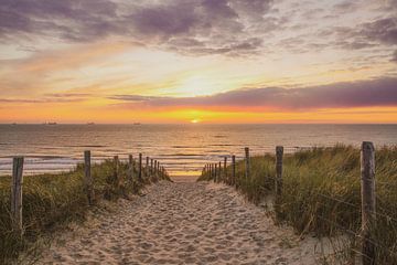Strand, zee en zon aan de Hollandse kust van Dirk van Egmond