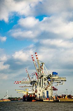 Terminal de chargement dans le port de Hambourg sur Dieter Walther