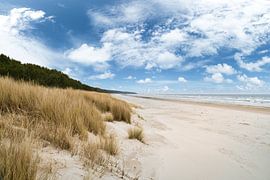 Uitzicht over het strand op Usedom met duinen aan de ene kant en de Baltische Zee aan de andere kant van Martin Köbsch