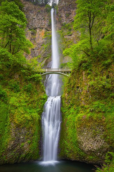Multnomah Falls, Oregon, United States. par Henk Meijer Photography