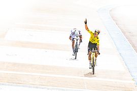 Wout gewinnt Paris–Roubaix von Leon van Bon