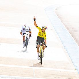 Wout wins Paris–Roubaix by Leon van Bon