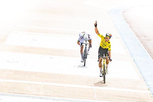 Wout wint Paris - Roubaix van Leon van Bon
