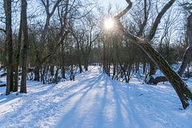 Amsterdam Water Supply Dunes in the snow by Merijn Loch