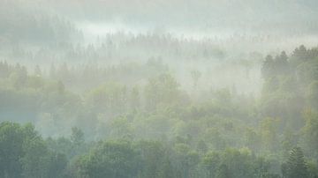 Prachtige ochtend met mist over de bossen van de Franse Jura. van Jos Pannekoek
