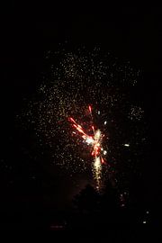 Feuerwerk von Evelien