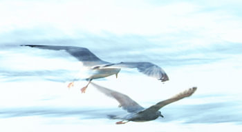 Anflug