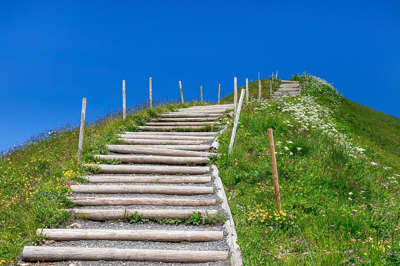 Hemelladder van Thomas Herzog