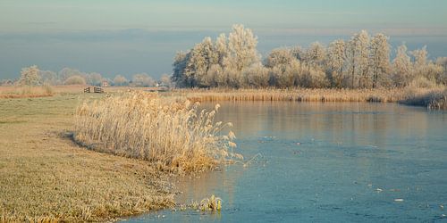 Diptychon: Winter im Unkraut
