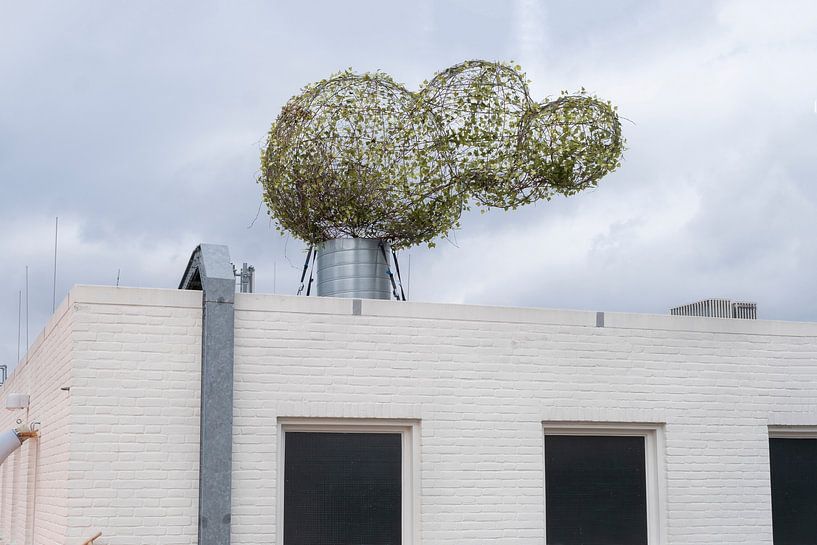 natural smoke by Karin van Bylevelt