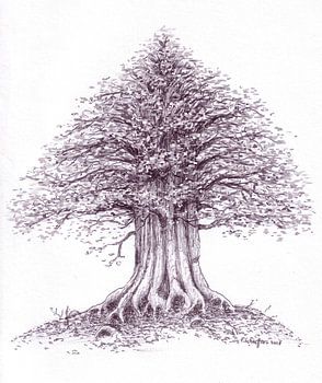 Robur au printemps