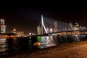 Erasmusbrücke Rotterdam
