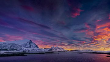 Kleurrijke zonsopkomst op Lofoten van Andy Luberti
