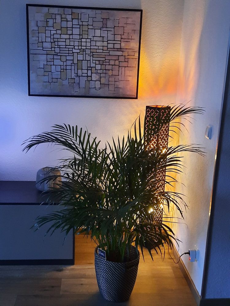 Piet Mondriaan No. 11 