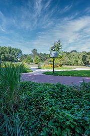 Veldpark Zaandam van Peter Bartelings