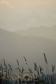 Landscape, Mountains, Grasses by Janina S.