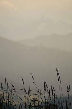 Landscape, Mountains, Grasses