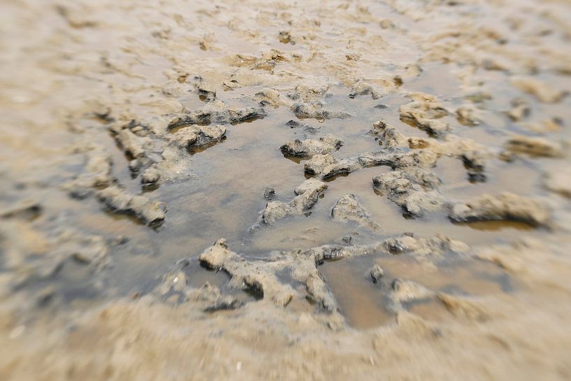 Natural art Texel by Marlies Laenen