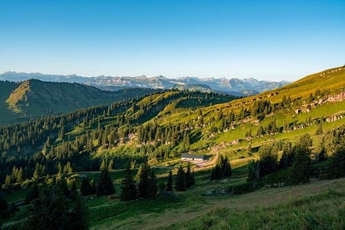 Uitzicht vanaf de Hochgrat op de Allgäu/Kleinwalsertaler Alpen