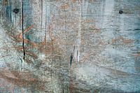 Raw beauty - old wood