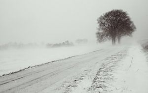 Schneesturm