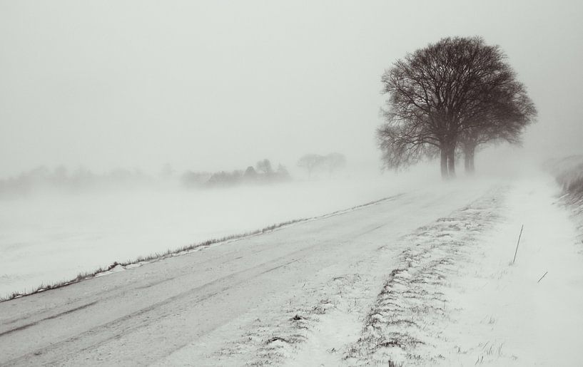 Schneesturm von Martijn Tilroe