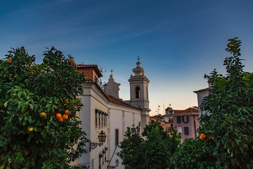 Apples of orange by Renske Spijkers