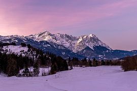 Sunrise on the Philosophenweg by Teresa Bauer