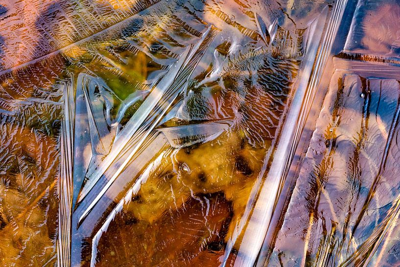 Eisschicht auf farbigen Niedermooren von Karin de Jonge