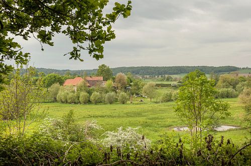 Lente in het Geuldal  Zuid-Limburg 