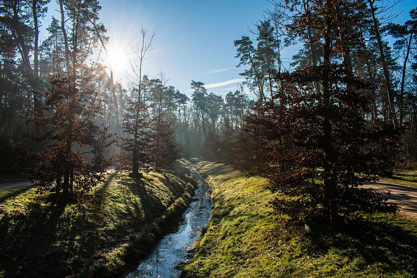 Cold Loen morning by Frank van Eis