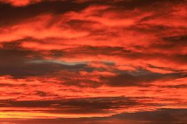 Magnificent morning sky