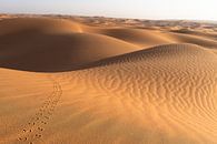 Spuren in der Wüste von Jeroen Kleiberg Miniaturansicht
