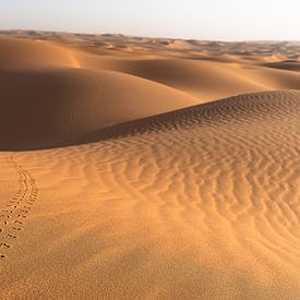 Tracks in the desert by Jeroen Kleiberg