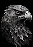 Majestic Falcon in Black and White 04