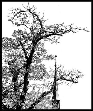 La Grote Kerk à Leeuwarden vue à travers les branches en noir et blanc sur Harrie Muis