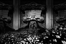 Water flowers (black and white) by Rob Blok