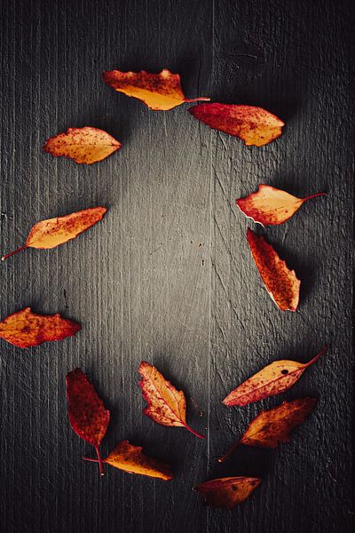 feuilles d'automne jaune brun-rouge sur fond sombre par Elly de Vries