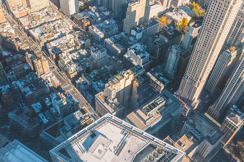 Ansicht der Vögel von Mark Verlijsdonk