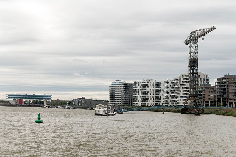 Schelde Temse van Richard Wareham