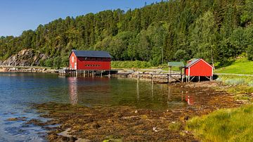 Noorse boothuizen, Noorwegen van Adelheid Smitt